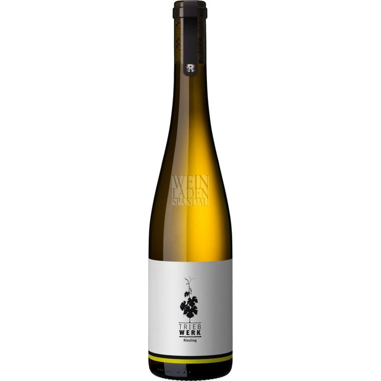 Triebwerk Riesling QbA trocken 2021 0,75l