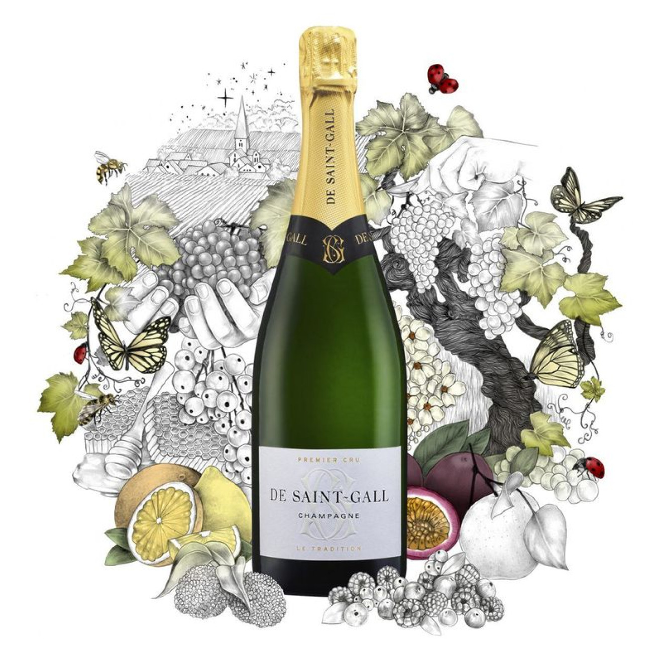 Champagne de Saint Gall Brut Tradition Premier Cru 0,375l