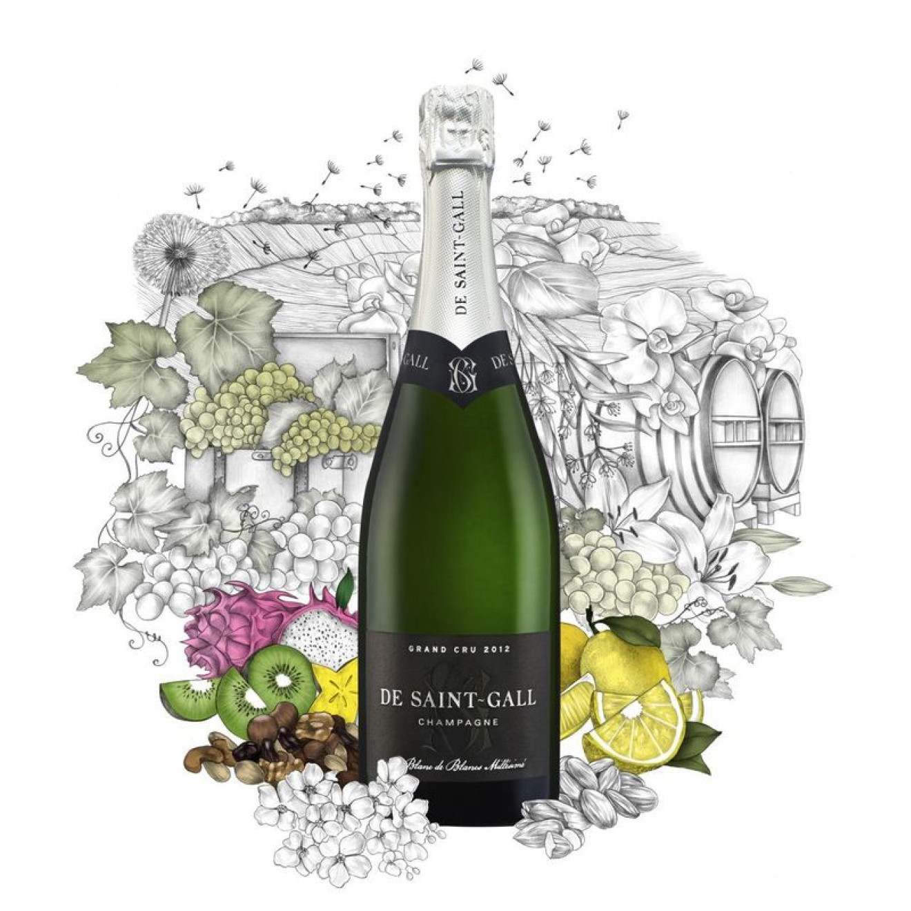 Champagne de Saint Gall Grand Cru Vintage Blanc de Blanc  2013 0,75l