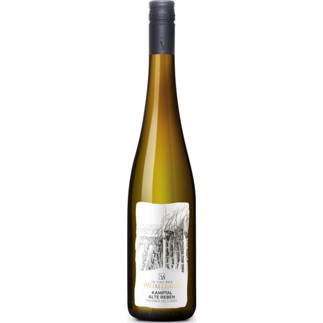 Grüner Veltliner Kamptal Alte Reben -Bio- 0,75l 2023