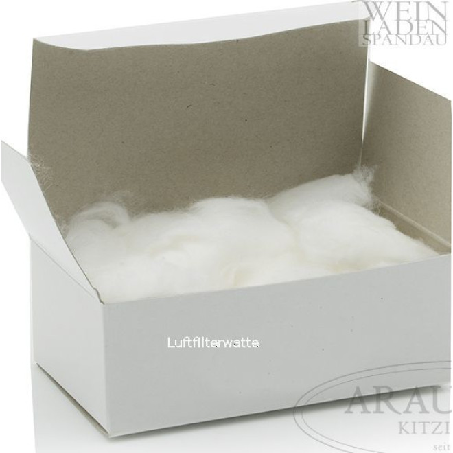 Luftfilterwatte 10g 0,01Kg
