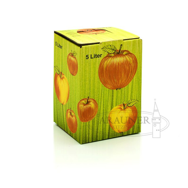 Bag in Box 5l Karton NEU 1,00St