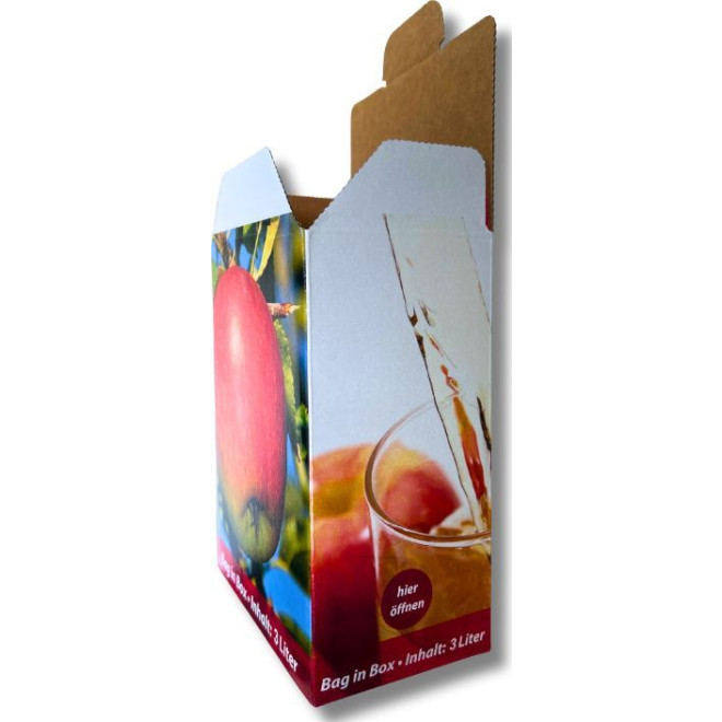 Bag in Box 3l Karton 1,00St