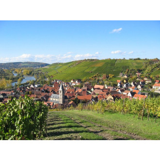 Fränkische Weinprobe 20. März 19 Uhr