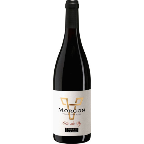 GD Morgon Lieu-Dit Côte Du Py 2022 0,75l Verkauf ab 21.11.2024